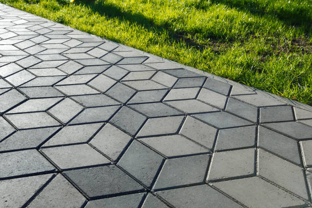 Best Driveway Drainage Solutions in North Riverside, IL